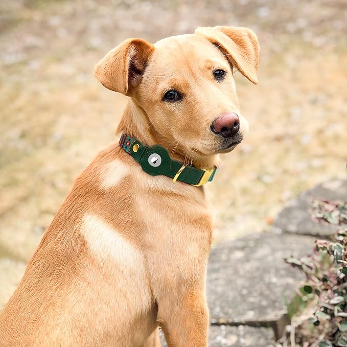 AirTag Dog Collar for Small Medium Large Breed - Adjustable Cute Pattern Dog Collar with Airtag Holder - Soft Leather Tracker GPS Apple Air Tag Pet Collars (X-Large, 20"-25" Neck Fit, Tribal)