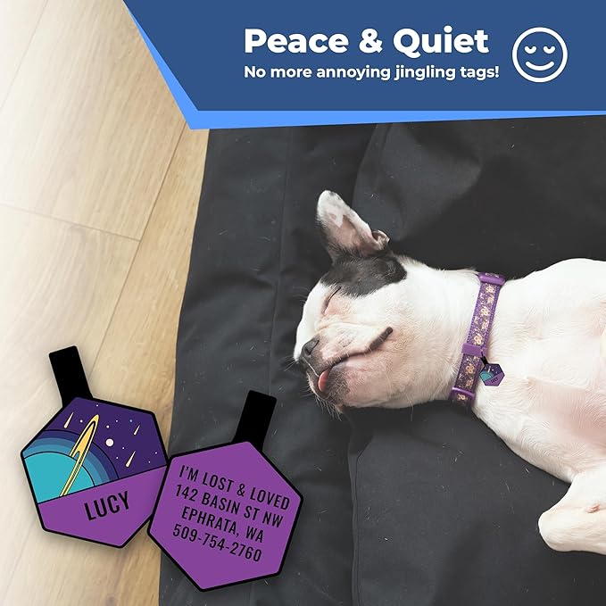 GoTags Silent Dog Tag, Personalized Engraved Hexagon Silicone Dog and Cat Name Pet ID Tags, Soundless No More Jingling Dog Tags (Space Planet)