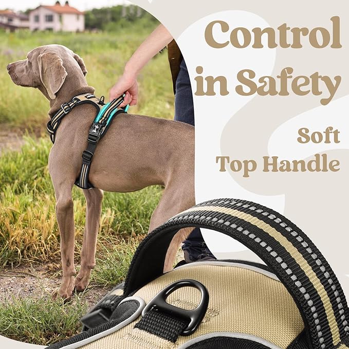 rabbitgoo Dog Harness Medium Sized, No Pull Pet Harness with 3 Buckles, Adjustable Soft Padded Vest with Control Handle, Walking Reflective Pet Vest for Medium Dogs, Beige, M
