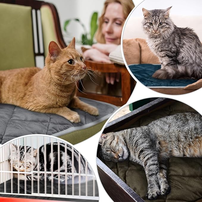 4 Pack Self Heating Cat Pad Self Warming Dog Mat Reflects Body Heat Extra Warm Thermal Pet Pad Washable Dog Cat Bed Crate Bed Mat Blanket(Mixing Colors,16 x 20 Inch)