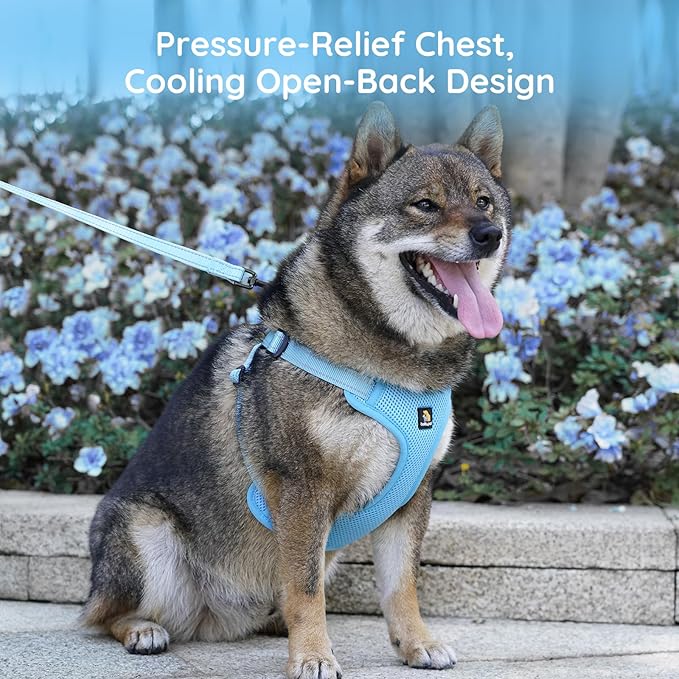 BELLA & PAL Adjustable Step-in Dog Harness, Puppy No-Pull Vest with Leash Set for XS/Small & Medium Dog, Breathable All-Weather Mesh, Reflective Strip, Secure Hook & Loop, Buckle Closure