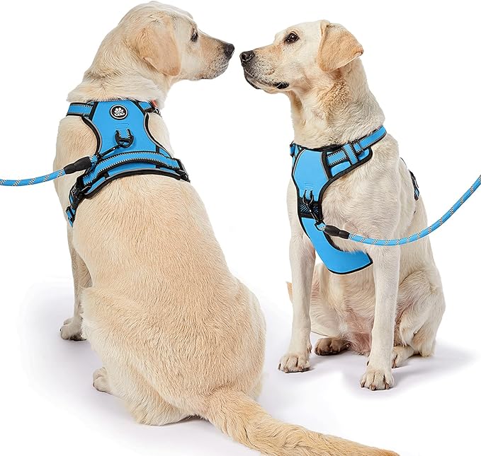 NESTROAD No Pull Dog Harness,Adjustable Oxford Dog Vest Harness with Leash,Reflective No-Choke Pet Harness with Easy Control Soft Handle for Large Dogs(Large,Blue)