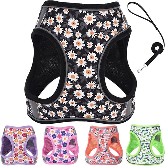 Small Dog Harness and Leash Set, Step in Dog Harness No Pull for Walking Running Training, Puppy Essentials for Dogs Cat Bunny, Adjustable Reflective Dog Vest Harness. (Black, M)