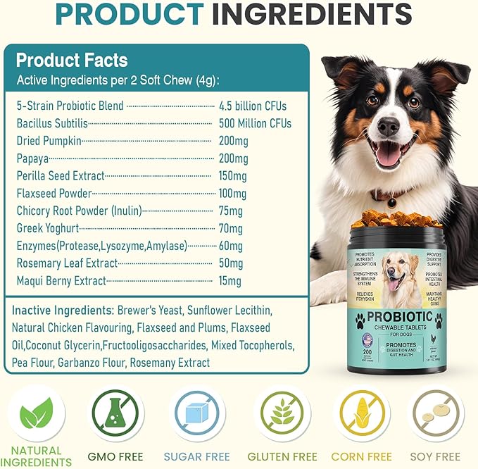 Probiotics for Dogs Gut Digestive Health Probiotic Chew for Dogs Digestive Enzymes Relieve Diarrhea Immunity Oral Problems Itching Constipation Prebiotics Dog Probiotics 200 Tablets Chicken Flavor