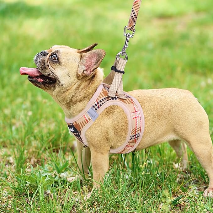 PUPTECK Dog Harness and Leash Set for Small Medium Dogs No Pull Step-in Soft Mesh Puppy Cat Vest Harnesses Reflective at Night, Plaid Pattern Beige XS