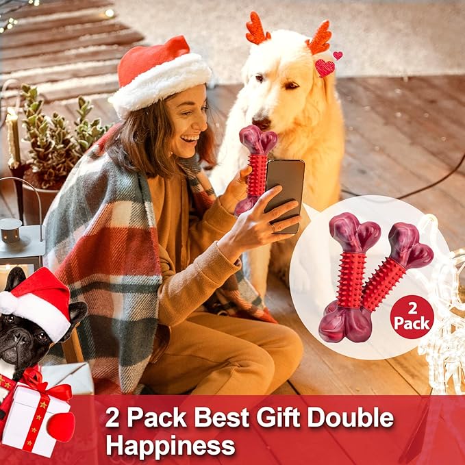 Apasiri Tough Dog Toys for Aggressive Chewers Large Breed, 2-Pack Dogs Chew Toys for Large Medium Dogs, Nylon and Rubber Dog-Bones for Teething Chew, Beef Flavor, for Doggo 20-80 lbs