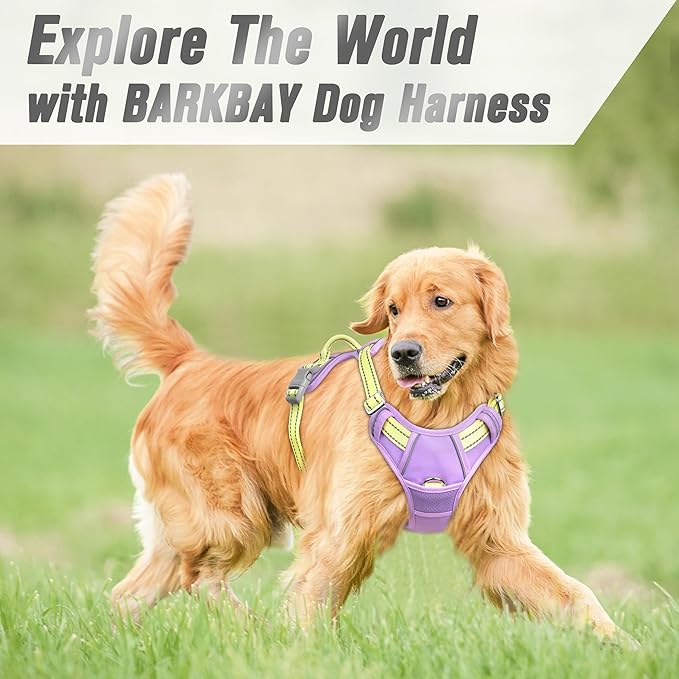 BARKBAY No Pull Dog Harness Front Clip Heavy Duty Reflective Easy Control Handle for Large Dog Walking(Violet Purple & Sunlight,XL)