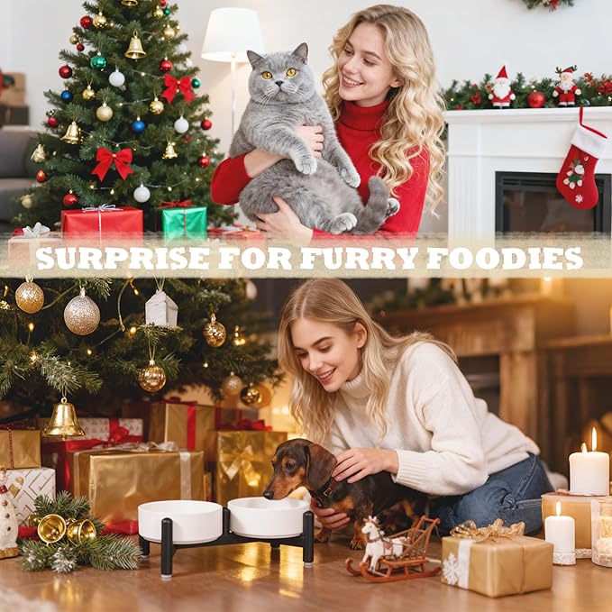 Raised Ceramic Dog Bowl Set - Elevated Double Dishes with Stainless Steel Stand - Food and Water Bowls for Small Dogs and Indoor Cats - Each Holds 2.1 Cups (14 fl oz) - White