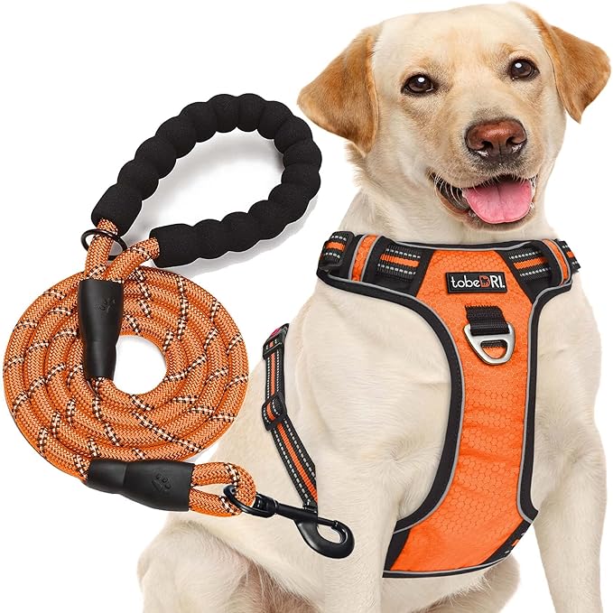 No Pull Dog Harness Adjustable Reflective Oxford Easy Control Medium Large Dog Harness with A Free Heavy Duty 5ft Dog Leash