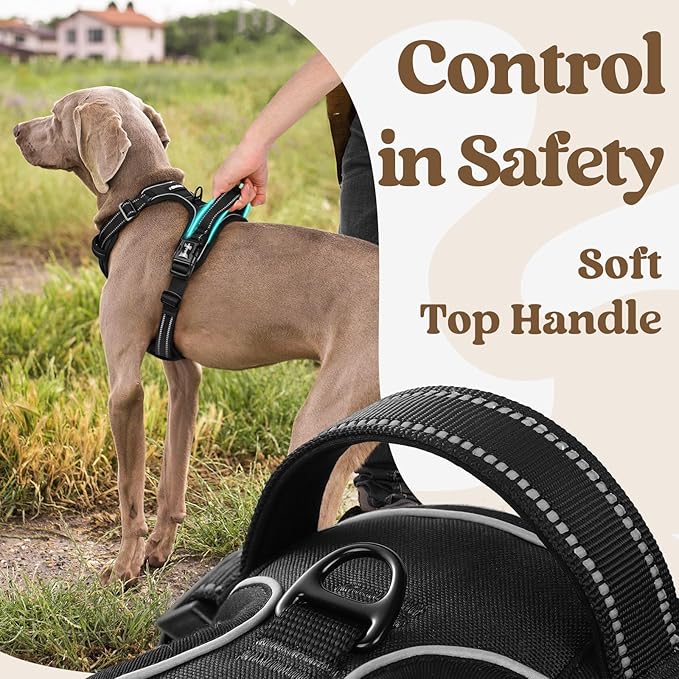 rabbitgoo Dog Harness Medium Sized, No Pull Pet Harness with 3 Buckles, Adjustable Soft Padded Vest with Control Handle, Walking Reflective Pet Vest for Medium Dogs, Black, M