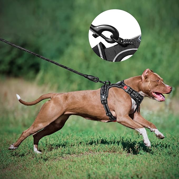 PoyPet Dog Harness and Leash Combo, Escape Proof No Pull Vest Harness, with 5 Feet Leash, Reflective Adjustable Soft Padded Pet Harness with Handle for Small to Large Dogs(Black,XL)