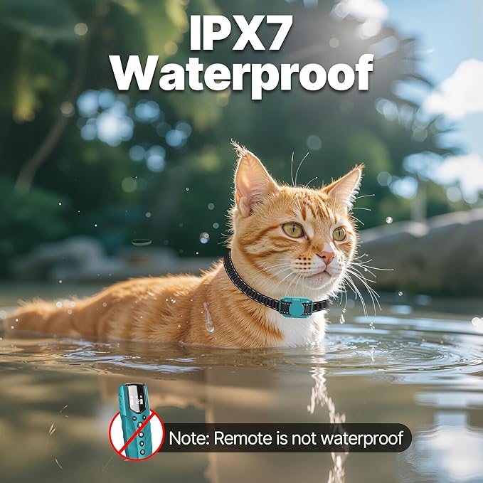 Cat Training Collar No Shock,Tiniest Vibrating Cat Collar with Remote 2000ft, Vibration Collar for Small Cat 5-15lbs & Medium Large Cats, Safe Lock, Beep, Vibrate, No Prongs, Waterproof, Cyan