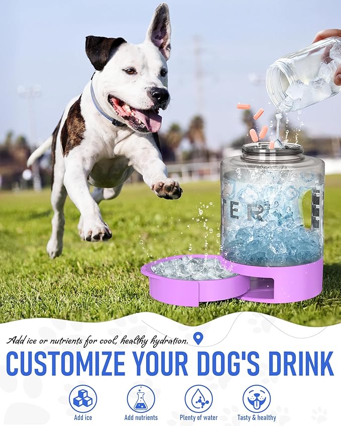 77oz Dog Travel Water Bottle, Large Portable Dog Water Bowl Dispenser, Leakproof Pet Drinking Bottle Dispenser for Hiking Camping Walking Travelling Beach Car Trips, No Spill, BPA Free,Purple