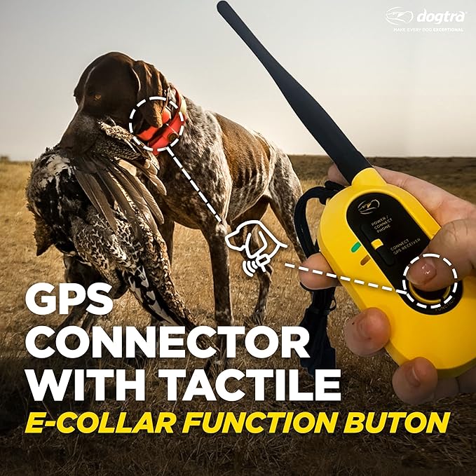 Dogtra Pathfinder 2 - Hunting Ecollar GPS Dog Training Collar with Remote, 9 Mile Range, Tracking & Containment for Medium & Large Dog Breeds, Electric GEO Fence Tracker, Stimulation, Vibration, Tone