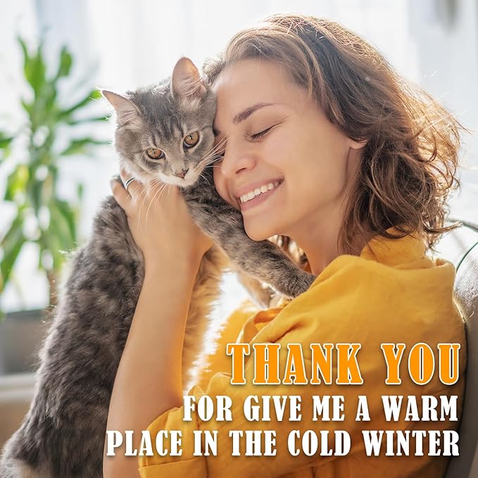 Kiroto Outdoor Pet Heating Pad for Cat Dog, Heated Mat with Waterproof Cover and Automatic Temperature Control, Suitable for Cat Houses, Dog Houses, Small Beds, Porches,20"x16",Blue