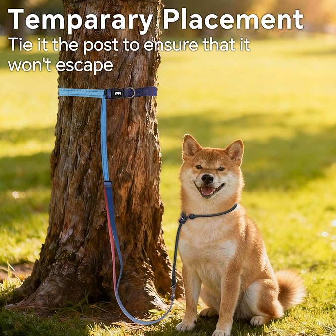 QQPETS Adjustable Slip Lead Dog Leash, Hands Free Waist Leash for Dog Walking, Reflective Training Lead with 360° Swivel Anti-Tangle, 4-7 ft Length for All Breeds