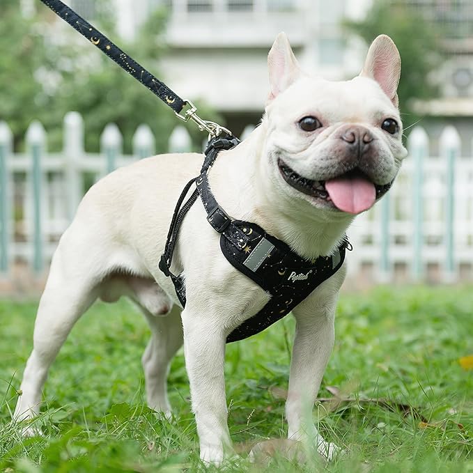 PUPTECK Dog Harness and Leash Set Medium Sized, Step in No Pull Adjustable Puppy Cat Harness Reflective Pet Vest