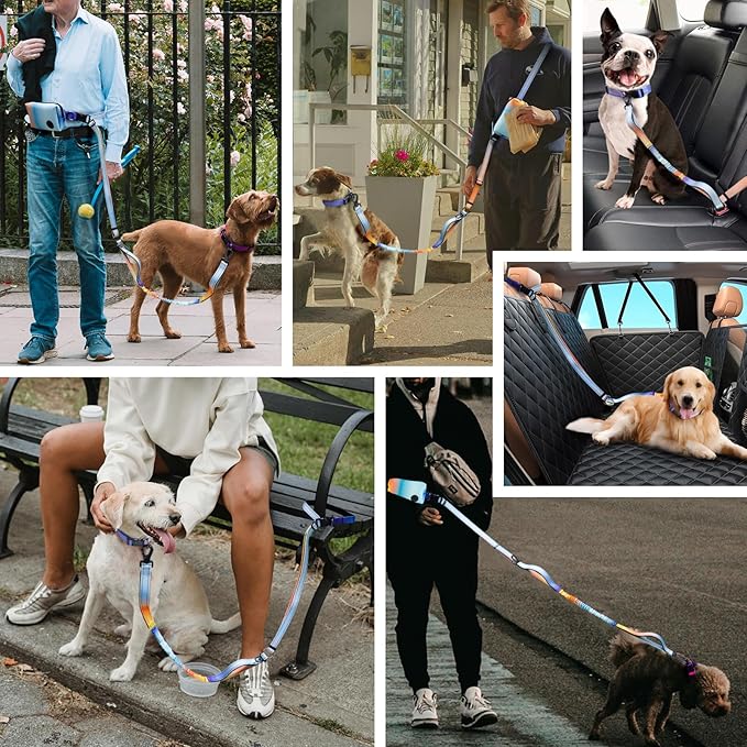 Roses&Poetry Hands Free Dog Leash with Zipper Pouch, 6-9ft Bungee Waist Leash for Medium Large Dogs Walking, Running Lead with Dual Padded Handles Car Safety Buckle for Training Jogging