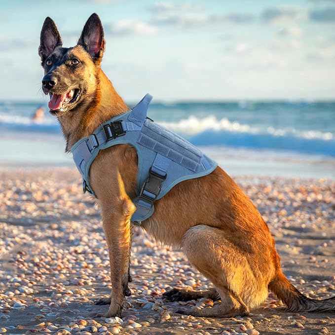 rabbitgoo Tactical Dog Harness for Large, Heavy Duty Pet Harness with Handle, No-Pull Service Vest Large Breed, Adjustable Military Dog Vest for Training Hunting Walking, Blue, XL