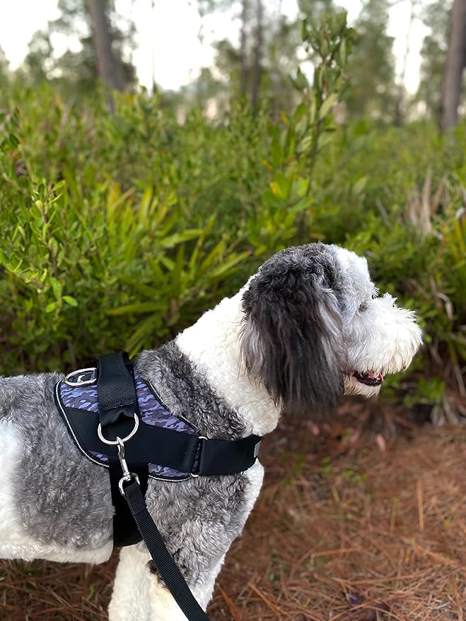 ShawnCo Essential Dog Harness, No-Pull Pet Vest with 3 Leash Clips, No Choke, Reflective, Adjustable and Padded, for Easy Walking and Training for Small, Medium and Large Dogs (Dark Camo, S)