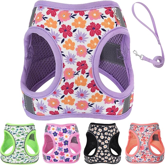 Small Dog Harness and Leash Set, Step in Dog Harness No Pull for Walking Running Training, Puppy Essentials for Dogs Cat Bunny, Adjustable Reflective Dog Vest Harness. (Purple, M)