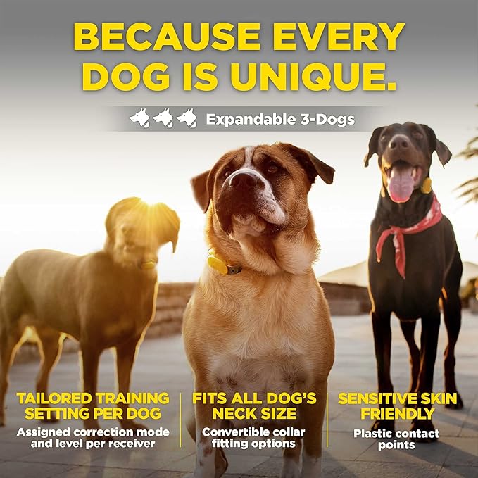 Dogtra CUE Yellow – E-Collar for Dogs Training Collar with Remote – Training Made Easy for Everyday Dog Owners – Gentle Vibration, Custom Boost, Waterproof, Rechargeable, 400-Yard Range System