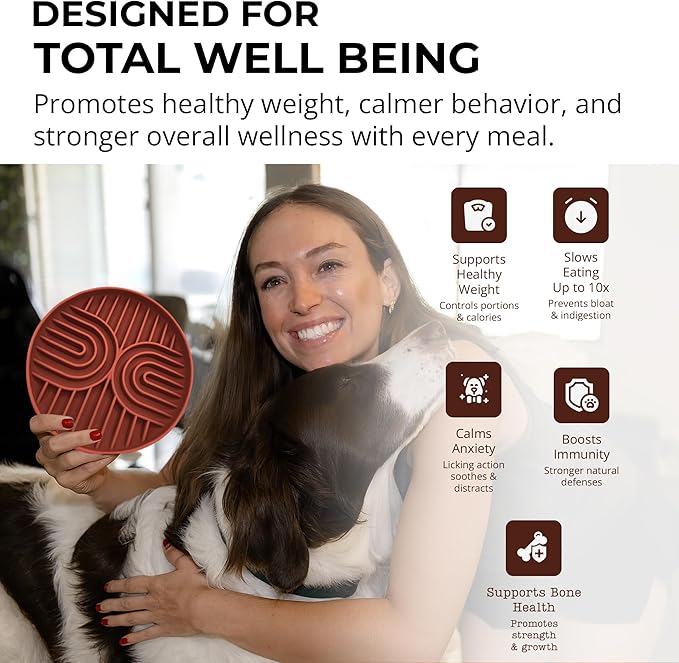 Slow Feeder Dog Bowls, Dishwasher Safe, Non-Slip Base, BPA-Free Slow Eating Dog Bowl (Mocha, 2-Pack)