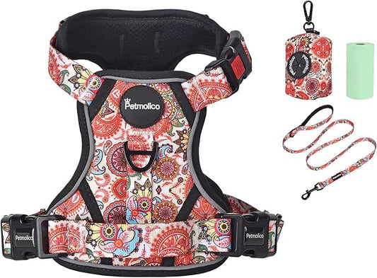 Petmolico No Pull Dog Harness Set with Leash Attachment Easy Control Handle Reflective Harness Vest Small Breed, Puppy Vest and Leash Set with Poop Bag Holder, XS - Boho Floral