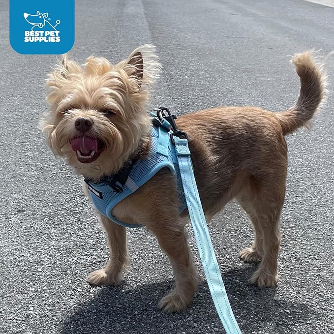 Voyager Step-in Air All Weather Mesh Harness & Reflective Dog 5 ft Leash Combo, Neoprene Handle, for Small, Medium, Large Breed Puppies by Best Pet Supplies - Leash Harness (Orange/Black Trim), M