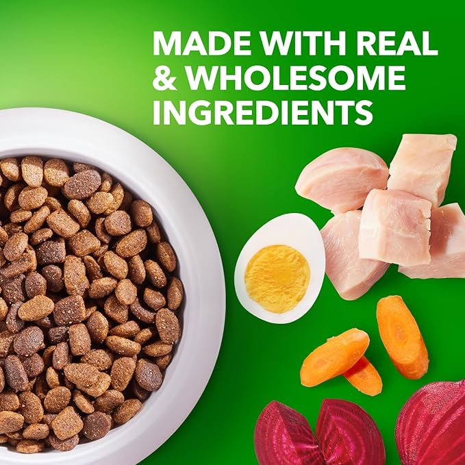 IAMS Proactive Health Large Breed Puppy Food with Real Chicken, 30.6 lb. Bag