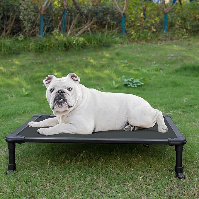 Veehoo Chew Proof Elevated Dog Bed - Cooling Raised Pet Cot - Rustless Aluminum Frame and Durable Textilene Mesh, Unique Designed No-Slip Feet for Indoor or Outdoor Use, Black, Medium, CWC2002