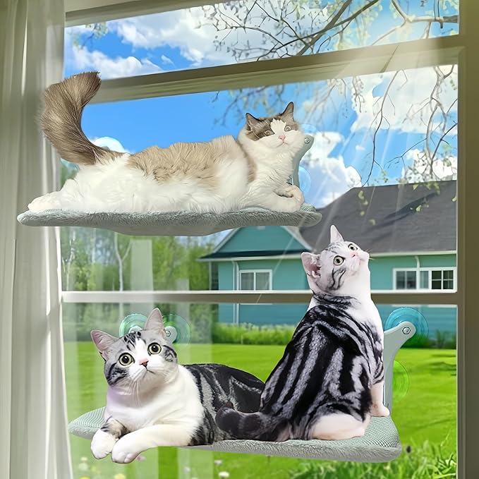 Cat Window Perch Hammock, 6 Suction Cups, 55 Lbs for Large Cats/Multiple Cats, Seat Bed, Indoor Foldable Design with Thickened Metal Frame. Dual-Sided Washable Mat