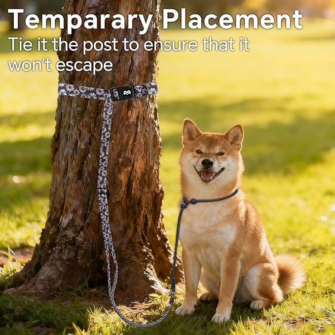 QQPETS Adjustable Slip Lead Dog Leash, Hands Free Waist Leash for Dog Walking, Reflective Training Lead with 360° Swivel Anti-Tangle, 4-7 ft Length for All Breeds