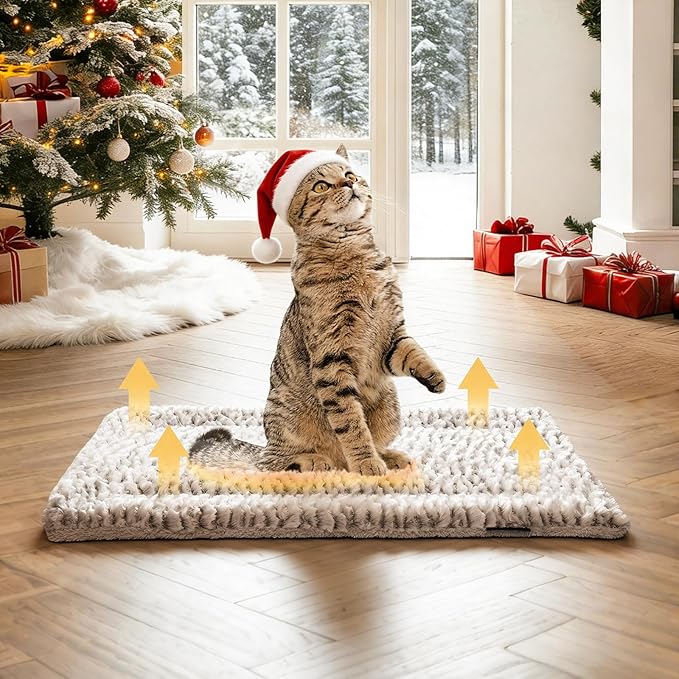 Self Heating Cat Pad Self Warming Cat Bed 22" x 17" Thermal Mat Extra Warm Pet Mat for Outdoor and Indoor Large Kittens Small Puppy Pets