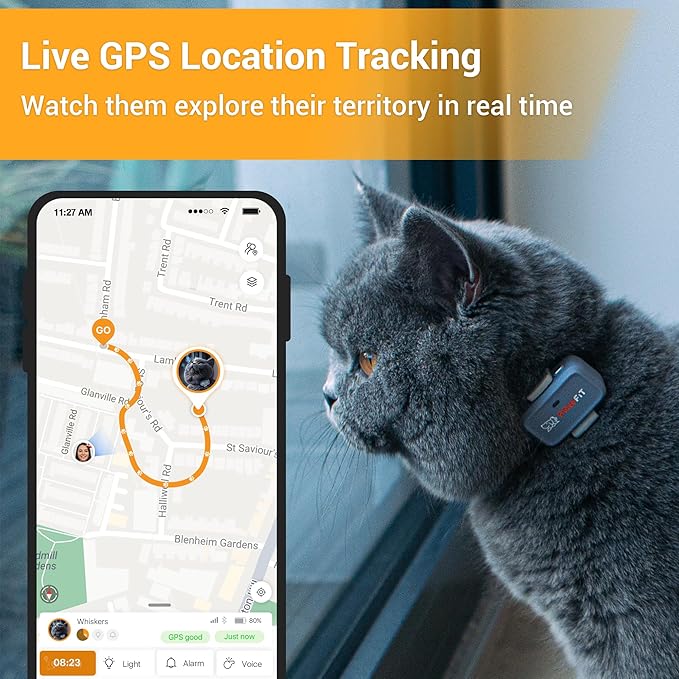 Pawfit Lite for Cats 4g GPS Tracker | Real Time Tracking | Activity Monitoring |Location History | Unlimited Range | Safety Collar Included | Lilac Grey