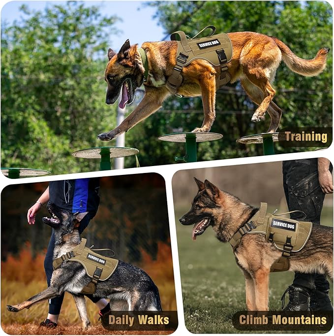 WINSEE Tactical Dog Harness for Medium Dog, Heavy Duty Service Working MOLLE Vest with 10 Pet Patches, 2X Metal Buckle Vest for Training Hunting Walking