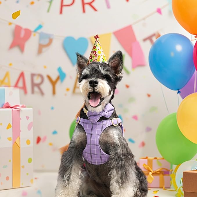 Beirui Cute Extra Small Dog Harness Collar and Leash Set with Bowtie, Soft Adjustable Plaid Puppy Harness for Small Sized Dogs Cats Walks Parties and Photoshoots(Purple,XS:Chest 13-18")