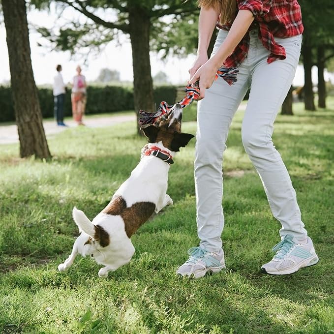 TwoEar Dog Rope Toy 4 Pack - Puppy Teething Toys for Small Breed - Indestructible Dog Chew Toys for Aggressive Chewers - Cotton Tug of War Dog Toys for Boredom, Teeth Clean