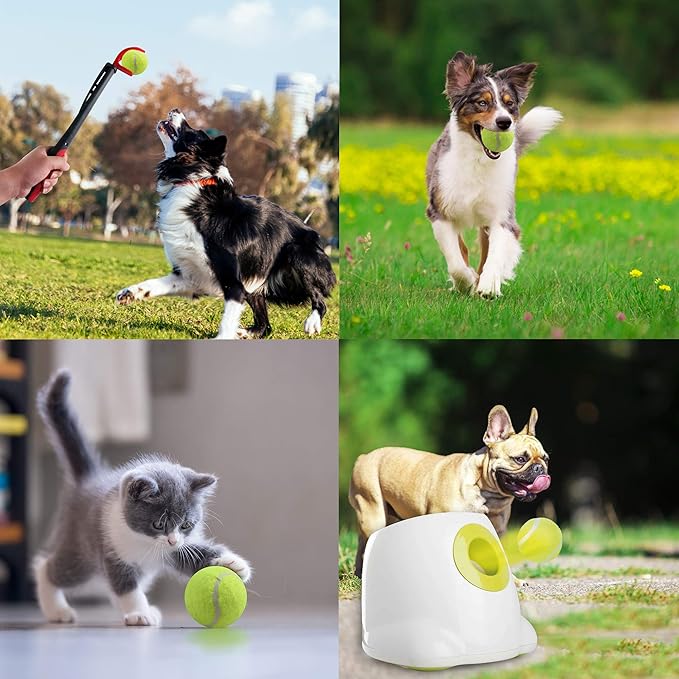 PetPrime 6PCS 2.5" Tennis Balls, Suitable for Max Dog Automatic Ball Launcher Interactive Dog Fetch Toy Pet Ball Thrower Throwing Game Launcher