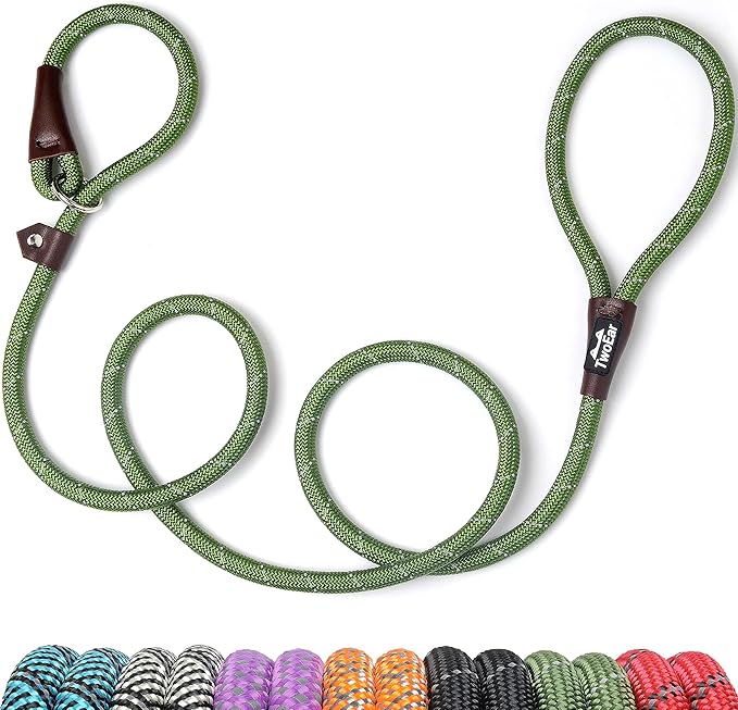 TwoEar Dog Slip Rope Leash - 6FT Heavy Duty Training Leash with Reflective Threads for Small to Large Dogs (Slim, 3/8''x6ft, Green)
