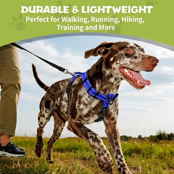No-Pull Harness,Y-Shaped Design,Buckle-Neck Balance Harness with Reflective Stitching, Ideal for Dog Training and Night Walking, Padded Handle, Durable High-Tensile Nylon-Blue-M