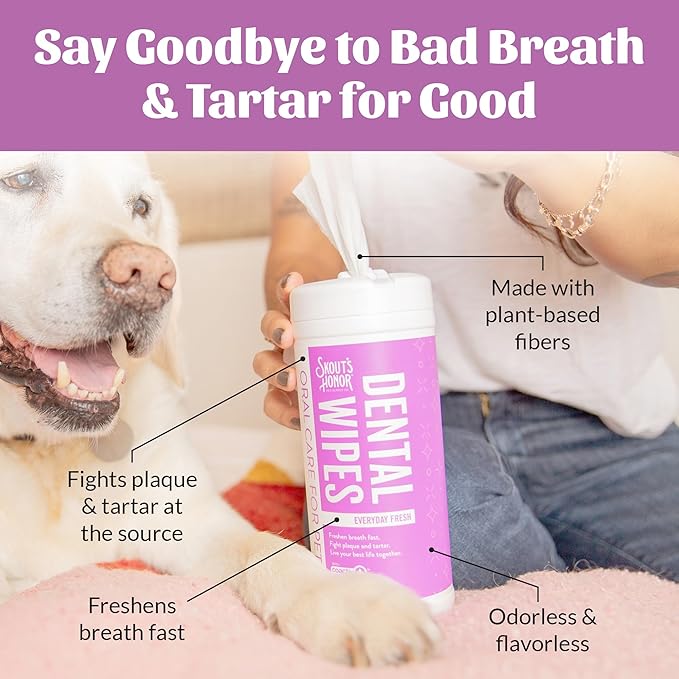 SKOUT'S HONOR Pet Dental Wipes - Fights Plaque and Tartar, Freshens Breath Fast, No Brushing Required, 50 Sheets, 2-Pack