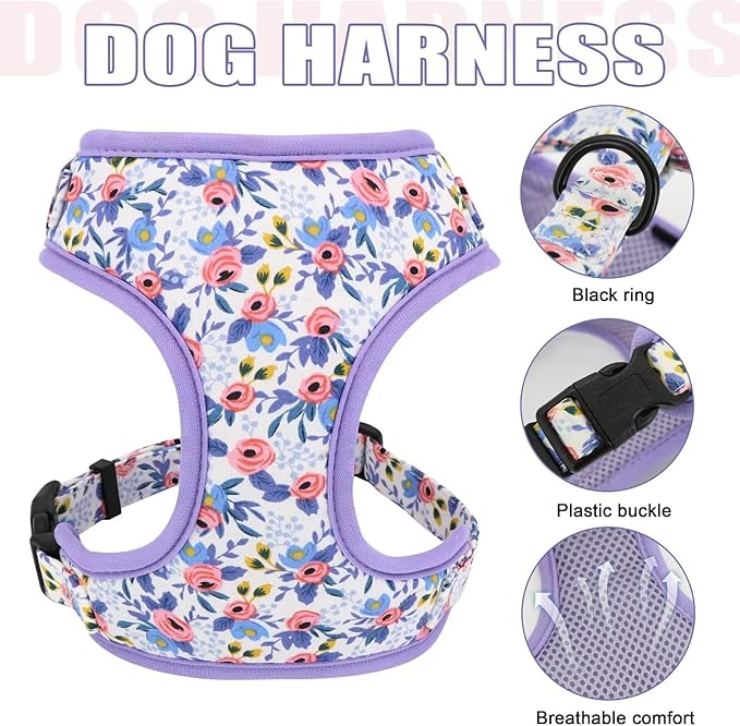 Beirui Cute Girl Dog Collars, Harnesses & Leashes Set - Adjustable Dog Collar and Leash Set with Flower - Soft Mesh Dog Vest Harness for Puppies Small Medium Dogs (Blue,M)