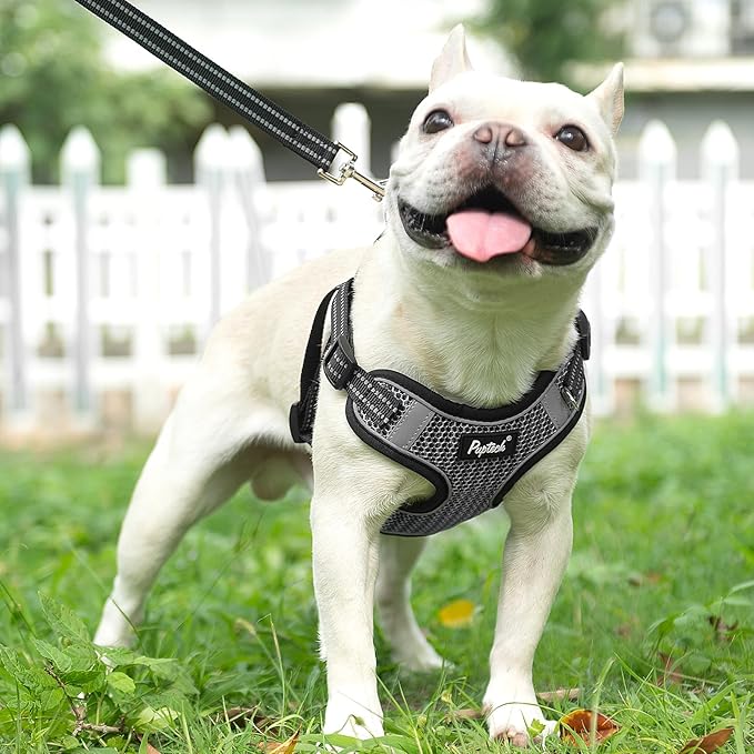 PUPTECK Dog Harness and Leash Set Small Sized, Step in No Pull Adjustable Puppy Cat Harness Reflective Pet Vest