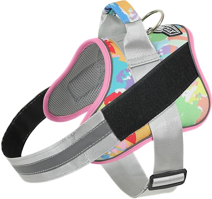 Bolux Dog Harness, No-Pull Reflective Dog Vest, Breathable Adjustable Pet Harness with Handle for Outdoor Walking - No More Pulling, Tugging or Choking (X-Small (Pack of 1), OilPainting)