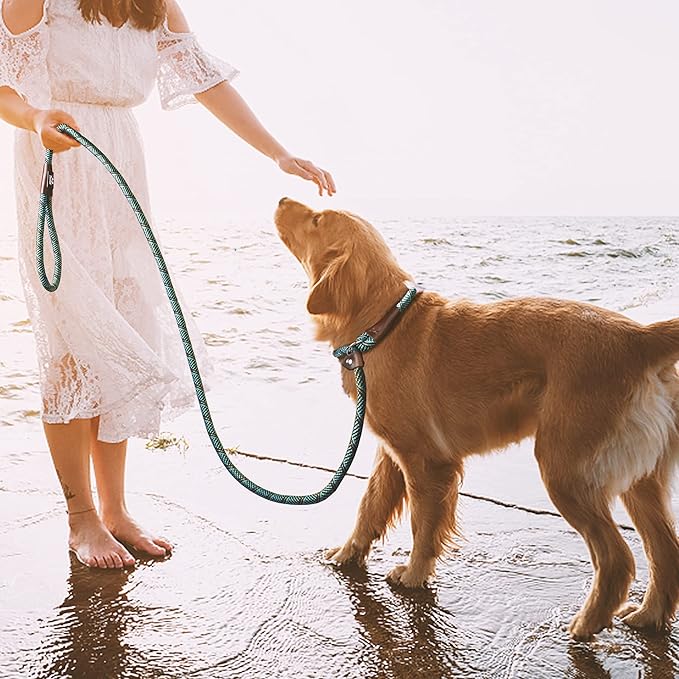 TwoEar Dog Slip Rope Leash - 6FT Heavy Duty Training Leash with Reflective Threads for Small to Large Dogs (Slim 3/8''x6ft, Blue)