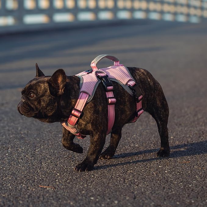 BELPRO Multi-Use Support Dog Harness, Escape Proof No Pull Reflective Adjustable Vest with Durable Handle, Dog Walking Harness for Big/Active Dogs (Pink, M)