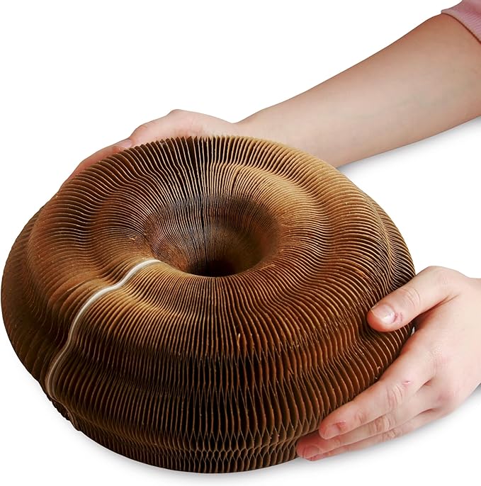 Magic Organ Cat Scratcher Board Toy with Bell Ball and Catnip - Longer, Stretchier Accordion Cardboard Scratching Pad with 4 Strong Magnets - Interactive Fun and Enrichment for Indoor Cats