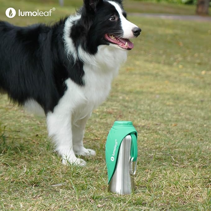 LumoLeaf Portable Dog Water Bottle 27 OZ, Stainless Steel Pet Travel Water Bottle Dispenser for Walking, Hiking and Outdoor, Portable Water Bowl for Large Dogs (Green)