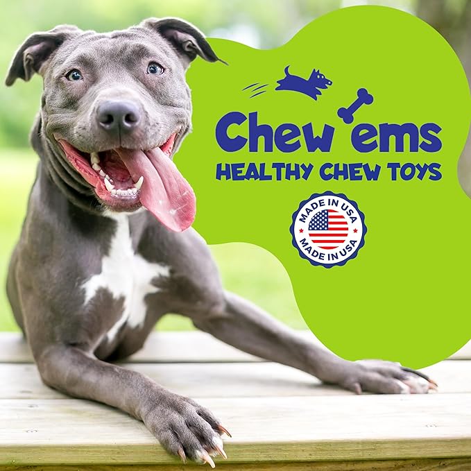 Chew'ems Durable Chewy Dog Toys | Long-Lasting & Flavorful Chew Dog Toys, Large Dog Breeds | Large Dogs, Salmon-Flavored